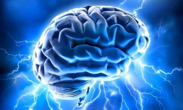 glandula pineal en el cerebro